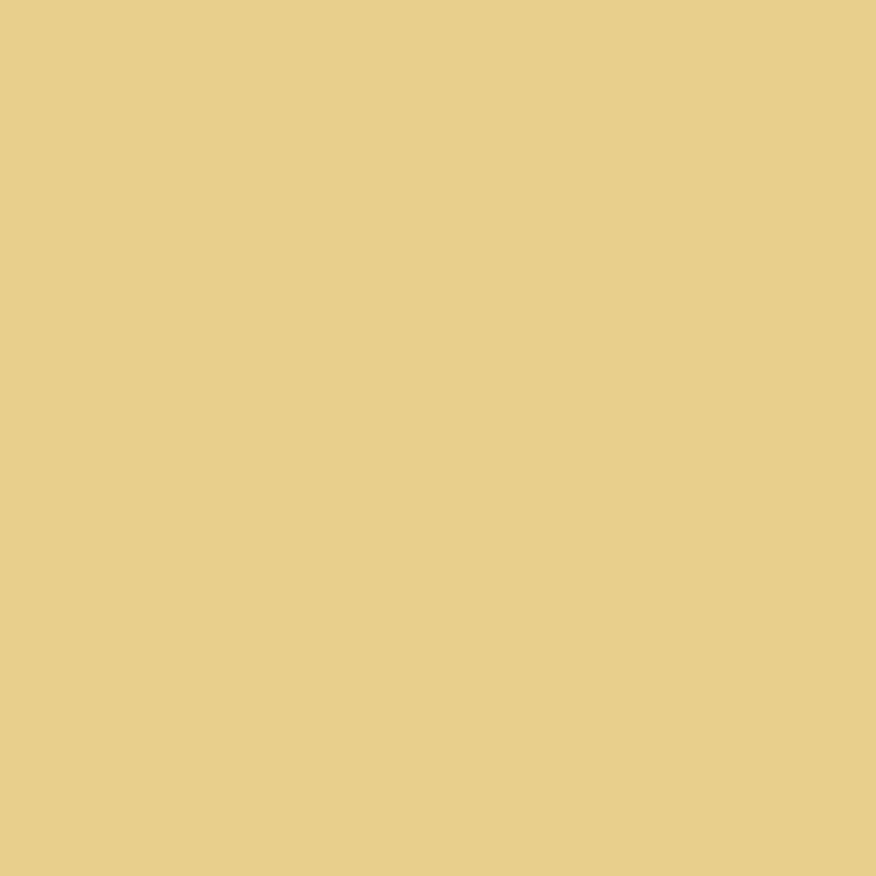Ranger - Tim Holtz Distress Oxide Spray 1.9oz - Scattered Straw, TSO67856